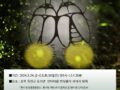 2024년 안터마을 반딧불이 축제(탐방) 안내(진행 중. 5.24~6.8)